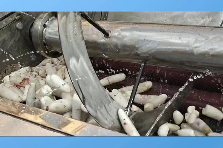 食品加工车间木薯脱皮机抱轴故障现场