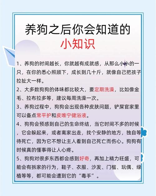 这些隐形诱因,九成养宠人都没注意