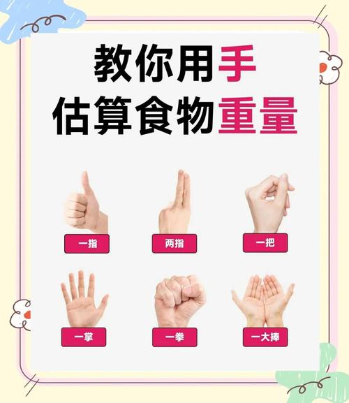 手掌测量食物分量示意图