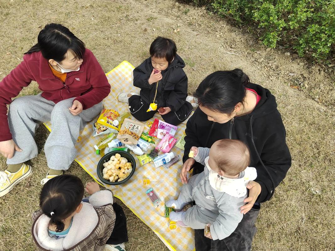 社区育儿互助社妈妈们带孩子野餐的场景