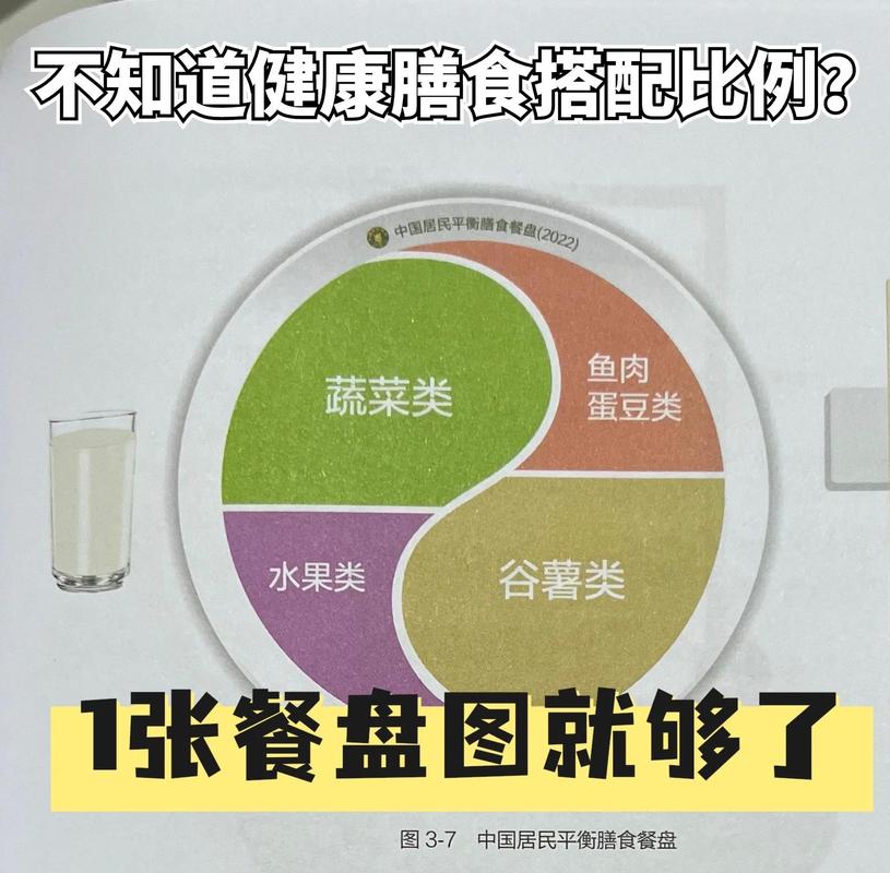健康餐盘蔬菜蛋白质粗粮比例分配图