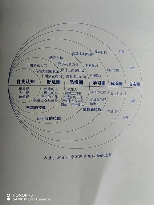 儿童认知内隐学习路径示意图