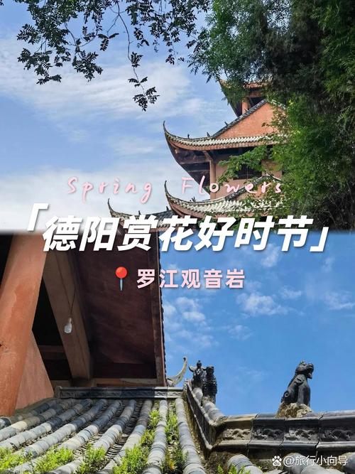南漳观音岩石林春季怪石花海全景
