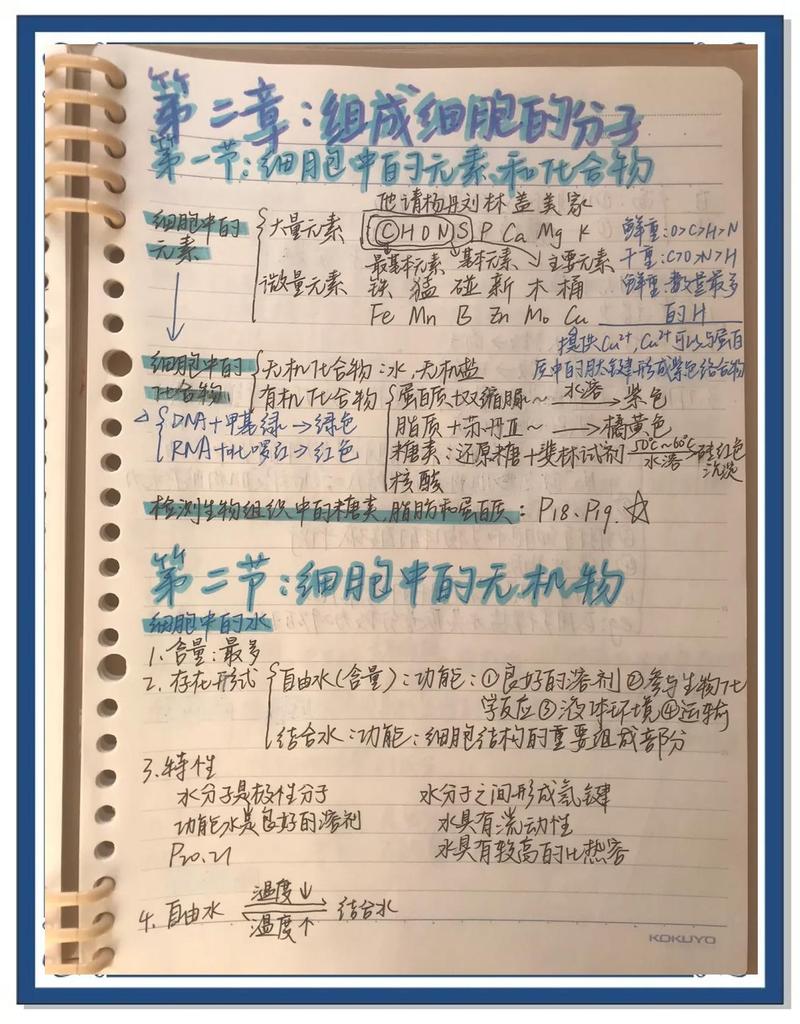 带侧边卡壳点标注的高中生物整理笔记实拍