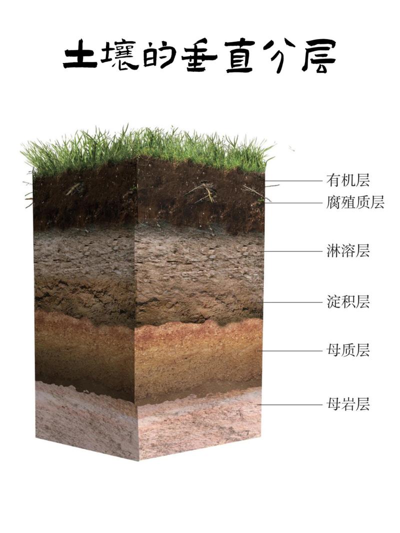 你需要的不是土,是“土壤结构”