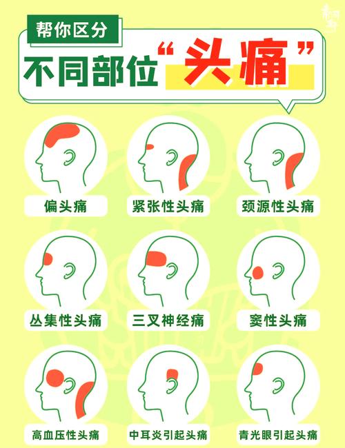 容易混的俩地方:别头疼