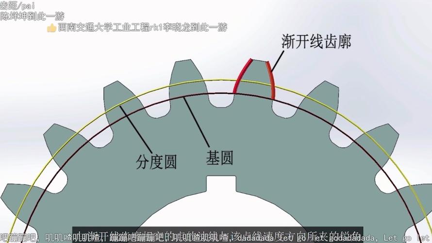 齿轮渐开线齿形三维示意图