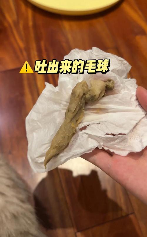 猫咪排毛时粪便中包裹的毛发实拍