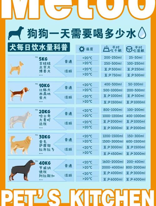 不同体重成年宠物每日需水量参考表