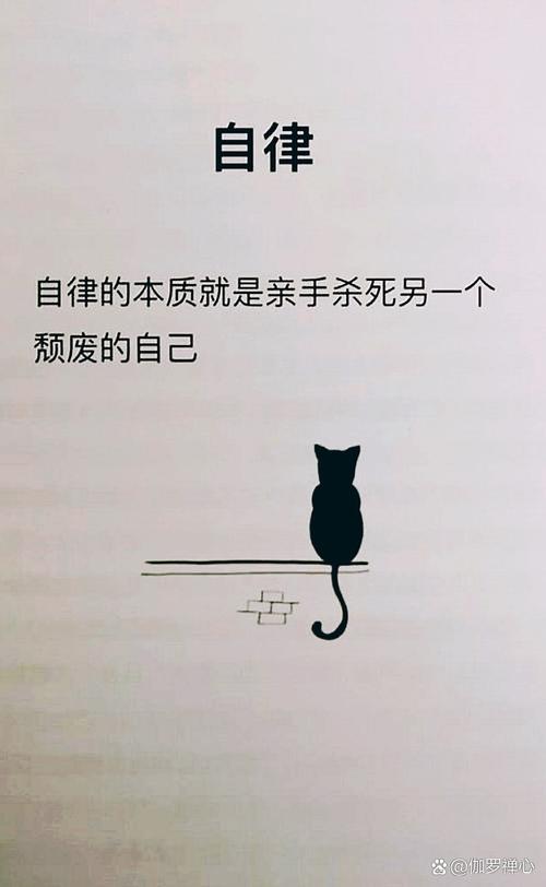我的土办法:用“堕落”换自律