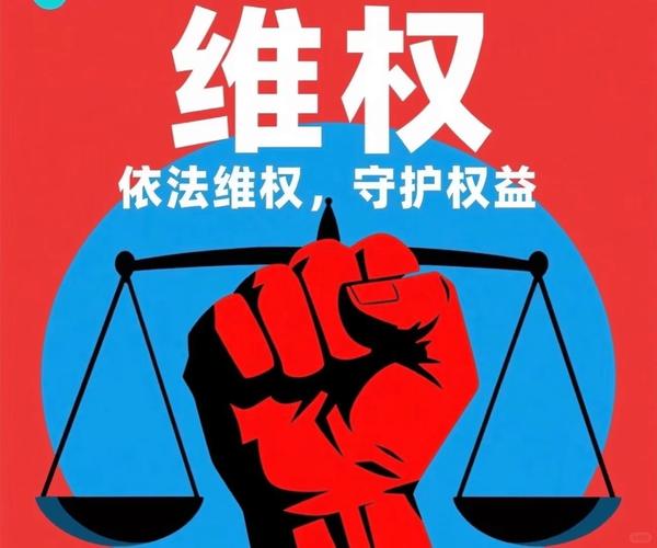 五、纠纷与维权