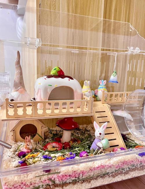 小学生惊喜观察笼子里的小仓鼠场景