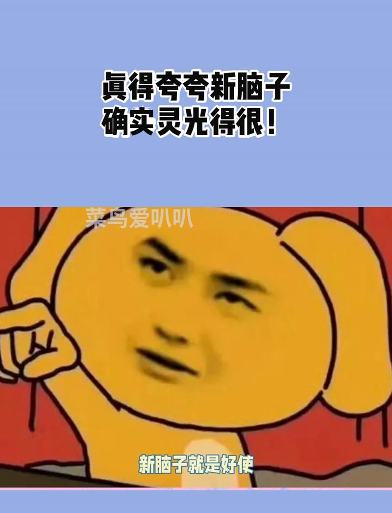新思不是新想法，而是旧脑子的重启