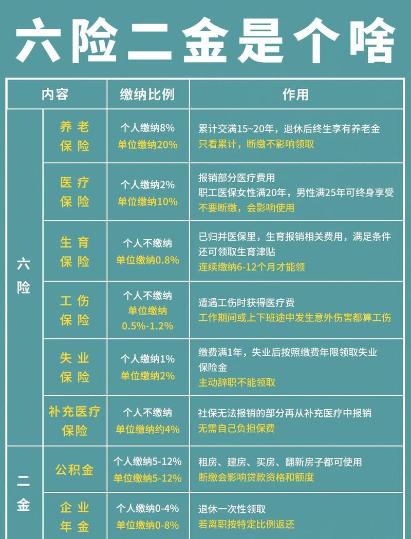 升学就业的“双保险”,怎么押?