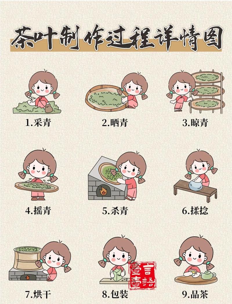 滚筒杀青机 茶叶加工流程图