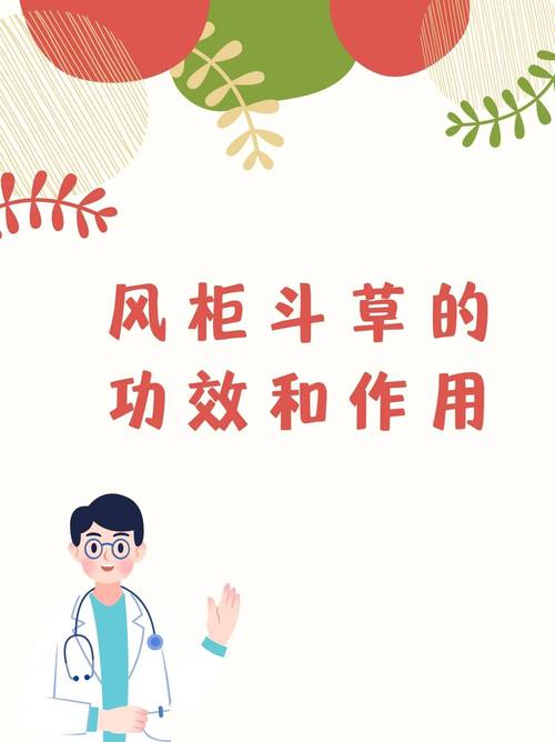 🌿 环保与健康,别让柜子变成毒源