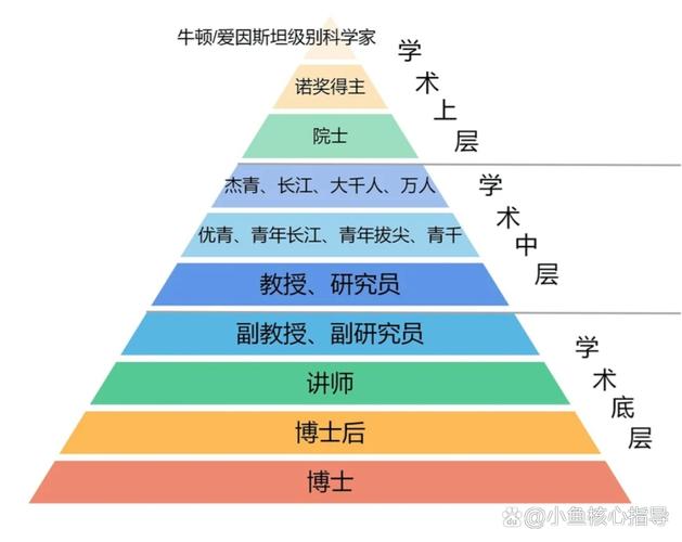 先看清:博士就业的真实版图