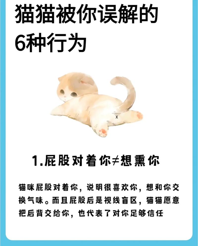 最容易被误解的几个事儿