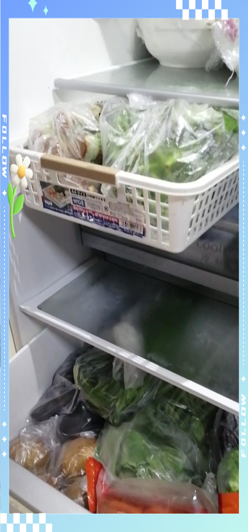 冰箱里用保鲜盒装绿叶菜实拍