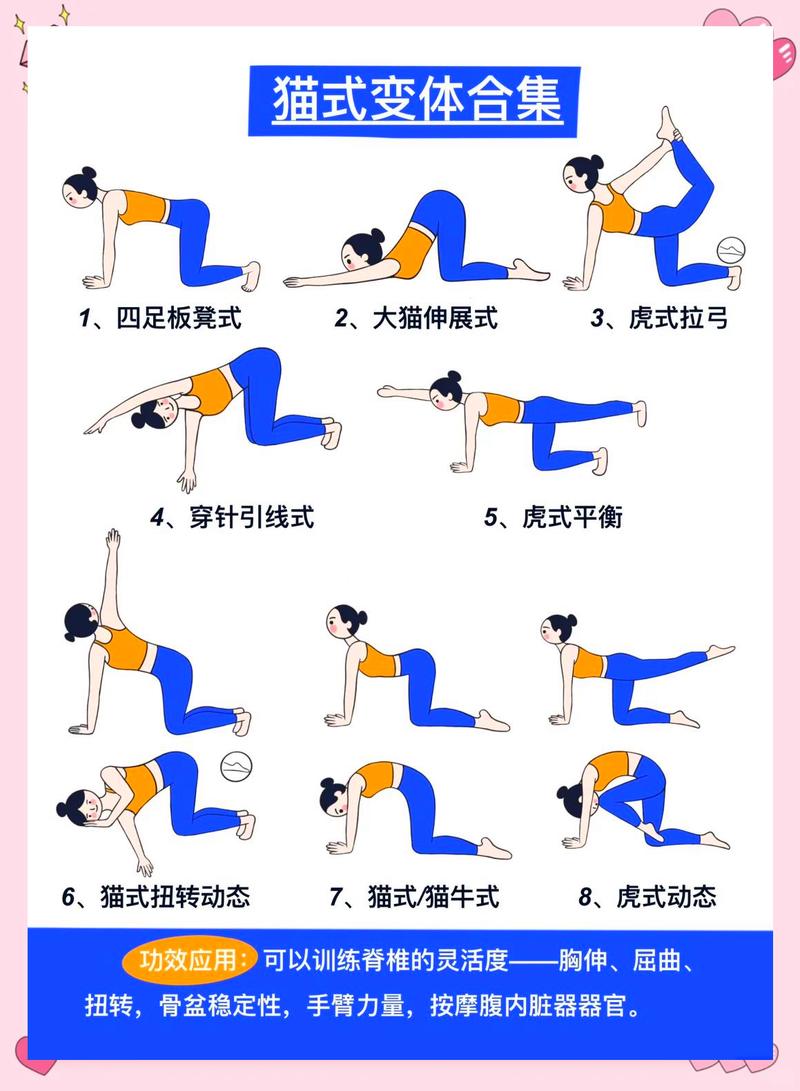 居家放松腰背猫伸展动作示范图