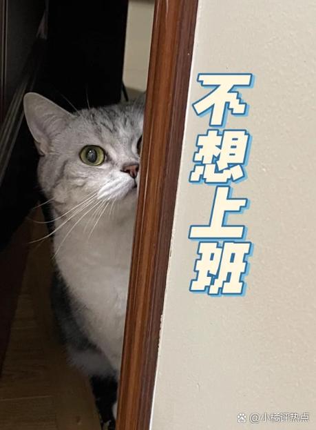 建完不是结束，维护才是长期命门