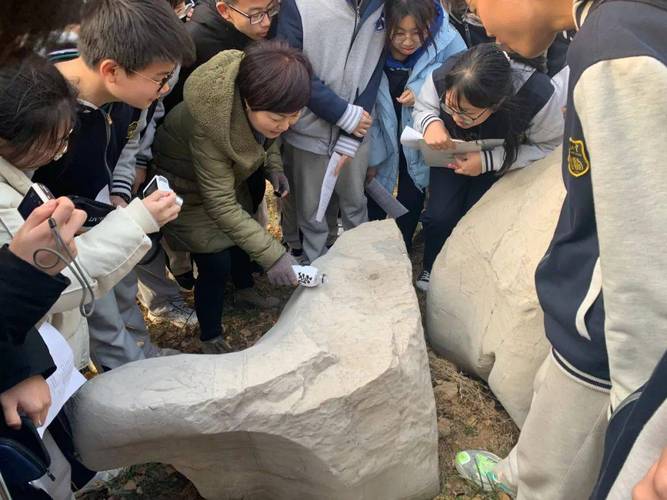 研学旅行中学生蹲在路边观察石头场景
