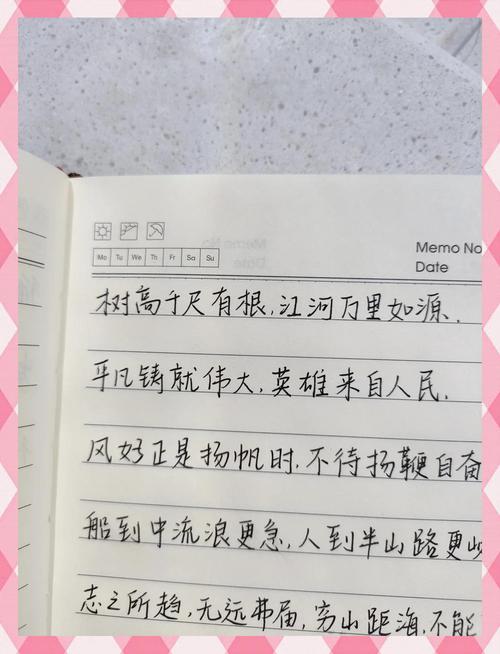 小学语文课作文本手写三行短句实拍