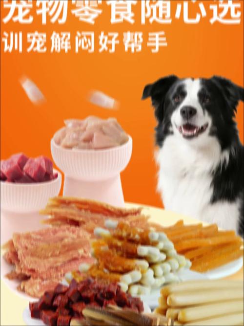狗狗训练奖励零食坐在主人旁边正确时机图