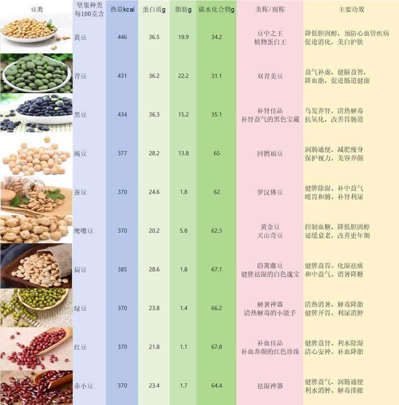 素食者营养来源图表 豆类 坚果 蔬菜