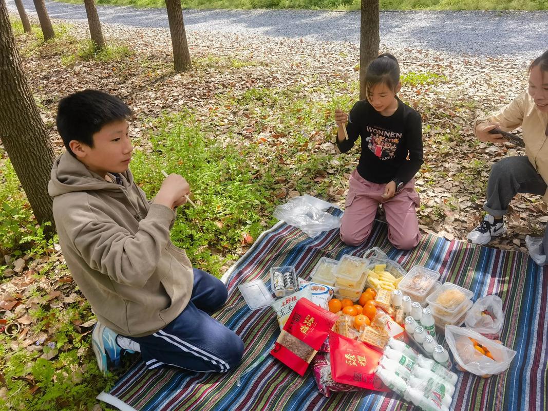 育儿互助社工业家庭线下亲子野餐活动照片