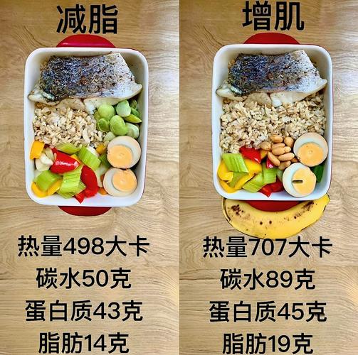增肌每日三餐食物分量参考图