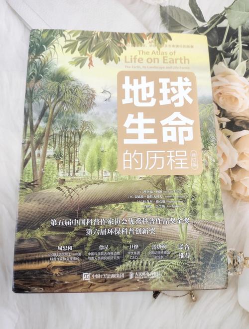 开源世界的生存法则