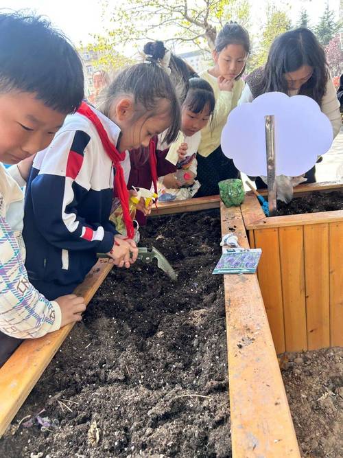 小学生惊蛰观察校园土壤