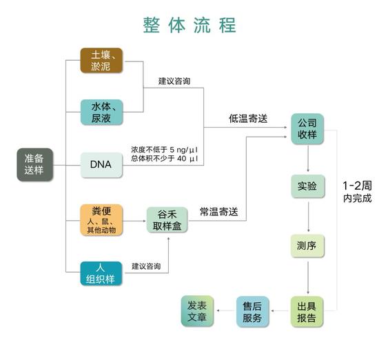 遗传特征记录DNA检测流程图