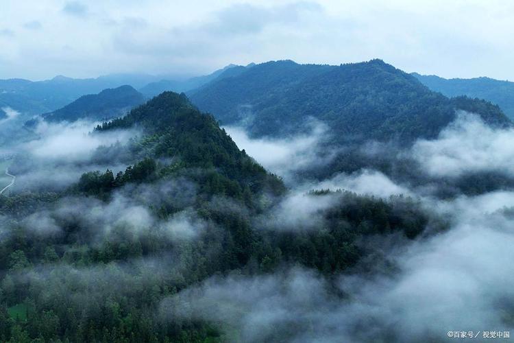 青城山后山云雾