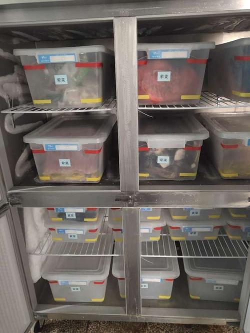 工厂双职工家庭周末分装备菜冰箱实拍