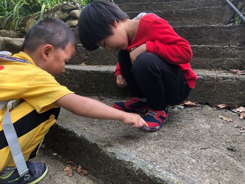 婴幼儿蹲在公园草地玩蚂蚁的亲子日常照