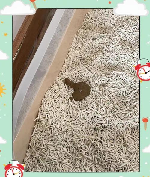 宠物换粮软便沾猫砂实拍图