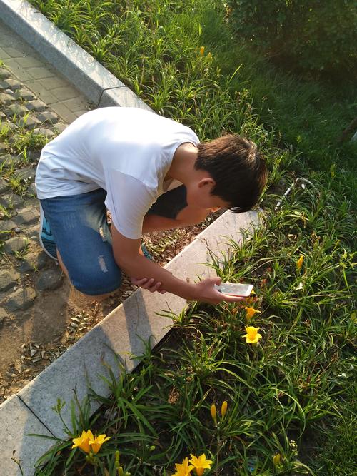 儿童蹲在小区花坛边观察昆虫实拍