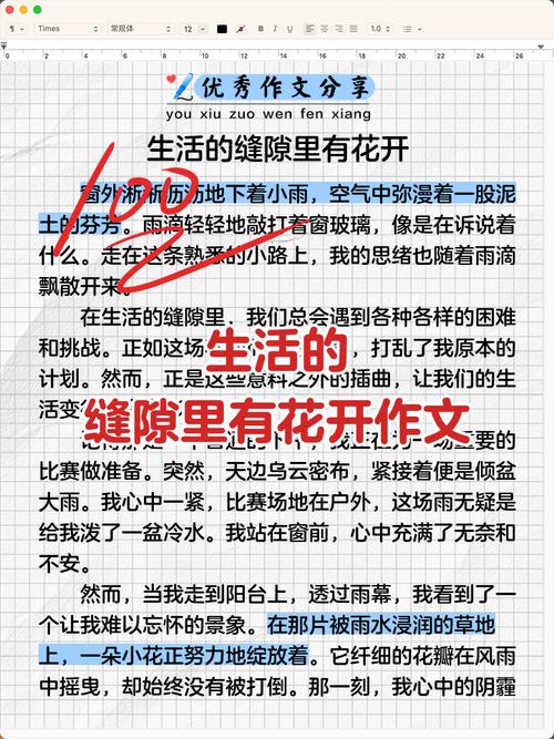 藏在缝隙里的，才是真的生活