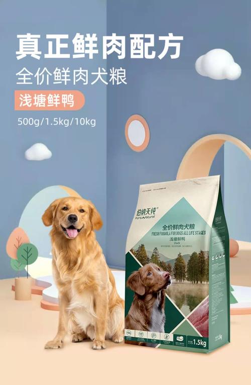 宠物粮品牌无滤镜日常短视频拍摄花絮