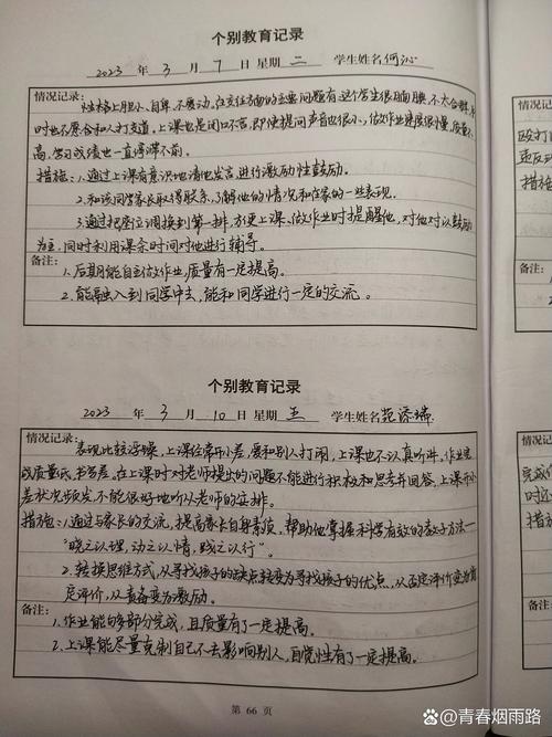 个别化教育计划文档特写手写批注