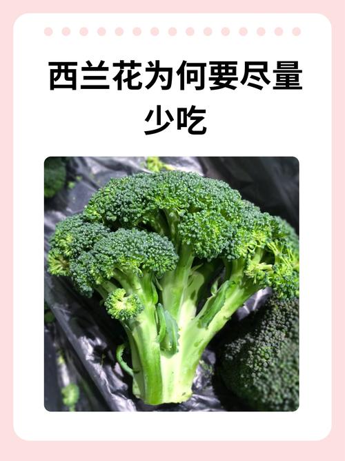 幼儿挑食拒绝吃西兰花