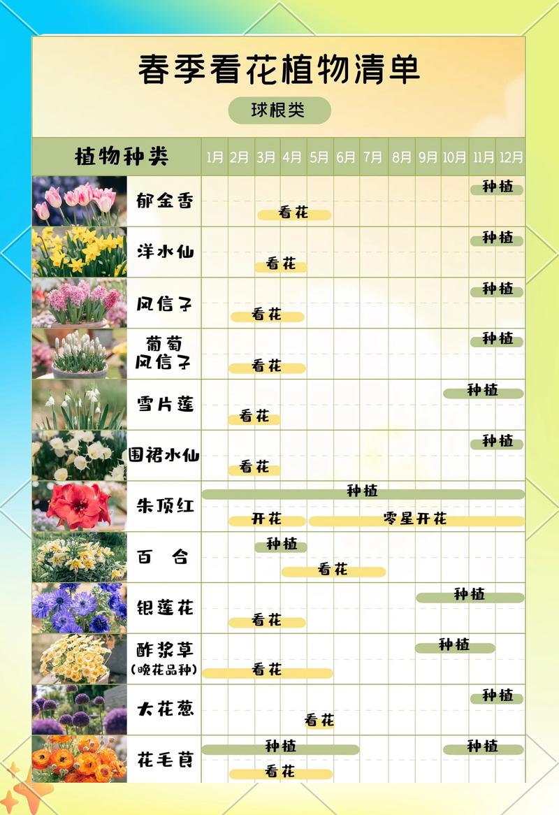 现代花卉品种登记册内页照片