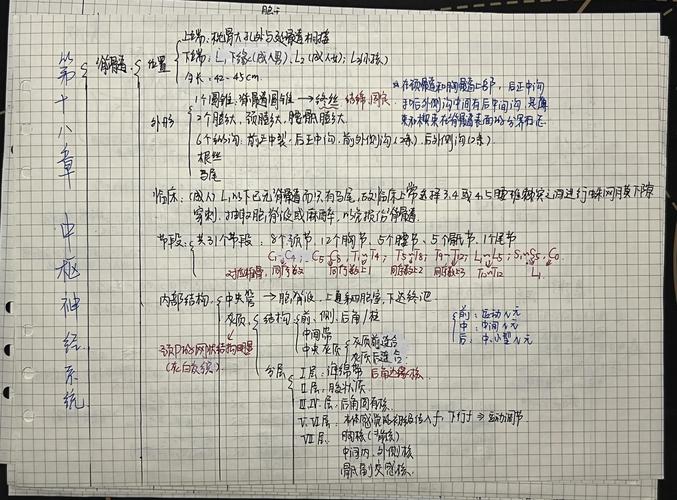医学考研西医综合笔记思维导图