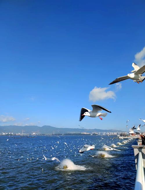 海埂大坝滇池