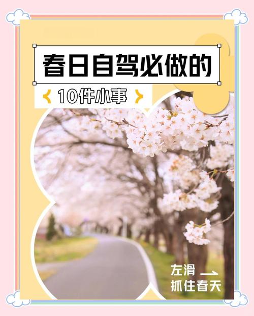 自驾必须要记的几个小事