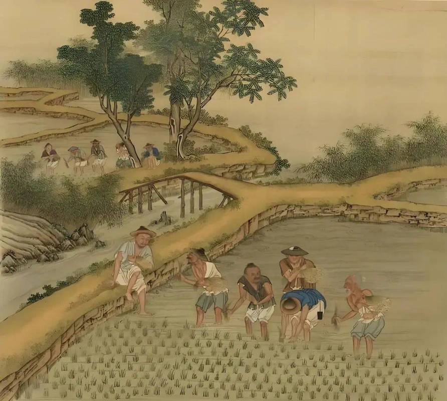 古代南方稻田轮作休耕示意图