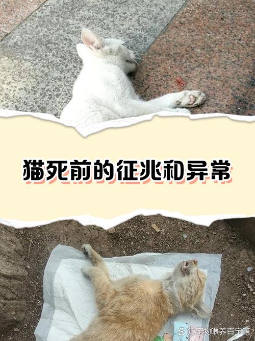 🛠 施工时猫腻多,盯死这几点