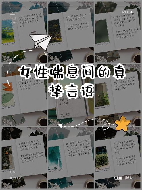 结语:在胶片与落雪的缝隙里呼吸